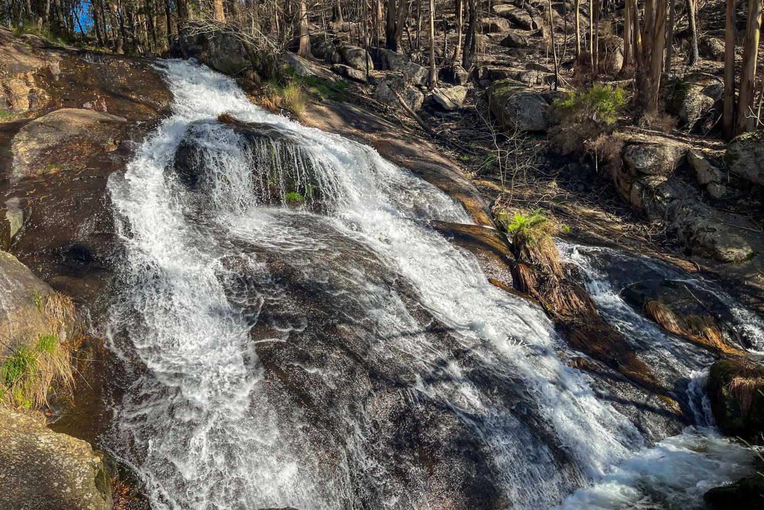 Порту: лесные водопады и римские руины