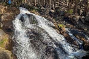 Порту: лесные водопады и римские руины