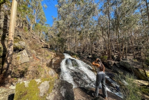 Порту: лесные водопады и римские руины
