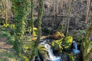 Порту: лесные водопады и римские руины