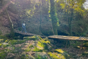 Порту: лесные водопады и римские руины