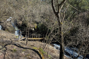 Порту: лесные водопады и римские руины