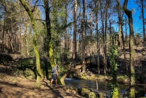 Порту: лесные водопады и римские руины