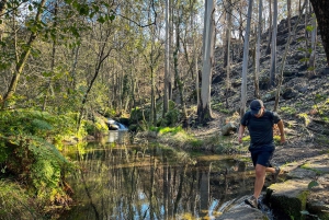 Порту: лесные водопады и римские руины