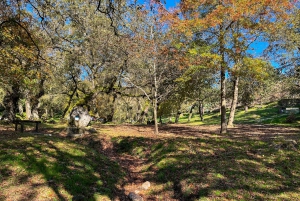 Порту: лесные водопады и римские руины