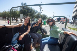 Porto fra et nytt perspektiv: Historiske steder og utsikt over Douro