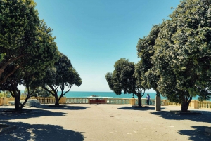 Stadsvandring i Porto, vinprovning och guidad kryssning på floden Douro med 6 broar