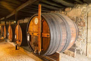 Stadsvandring i Porto, vinprovning och guidad kryssning på floden Douro med 6 broar