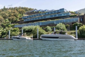 Porto: FULLDAY Yacht privato di lusso nel Douro