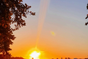 Porto: divertente tour privato in tuk tuk