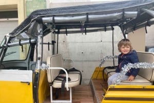 Porto: divertente tour privato in tuk tuk