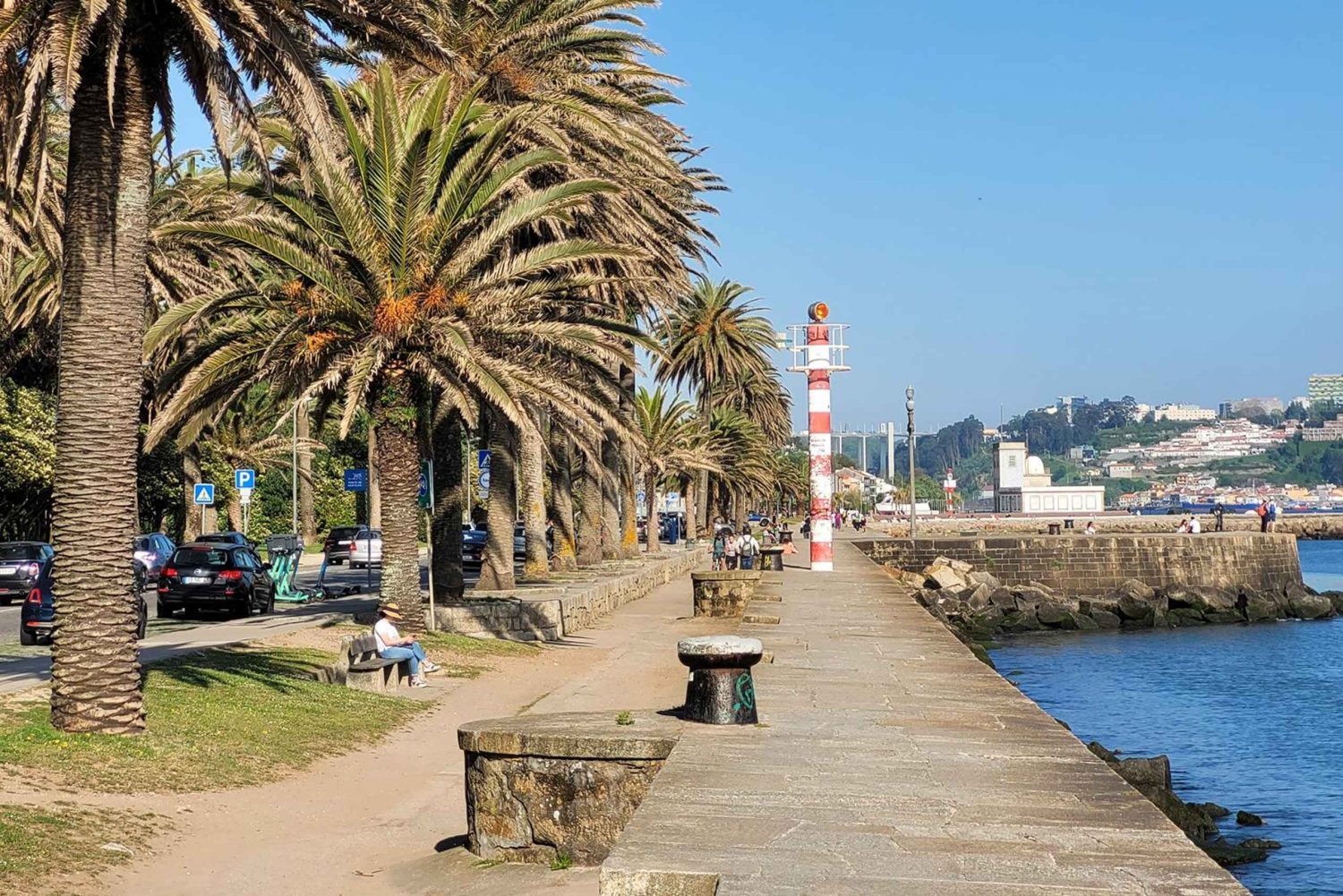 Porto-Gaia-Matosinhos: Visita panorâmica privada de meio dia