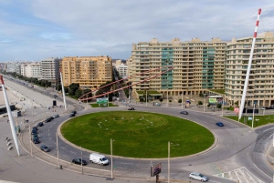 Porto-Gaia-Matosinhos: Visita panorâmica privada de meio dia
