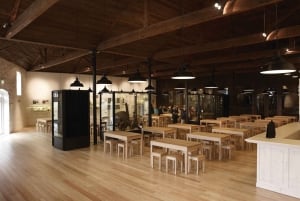 Oporto: Excursión a la Logia de Oporto de Graham con catas de vino Premium