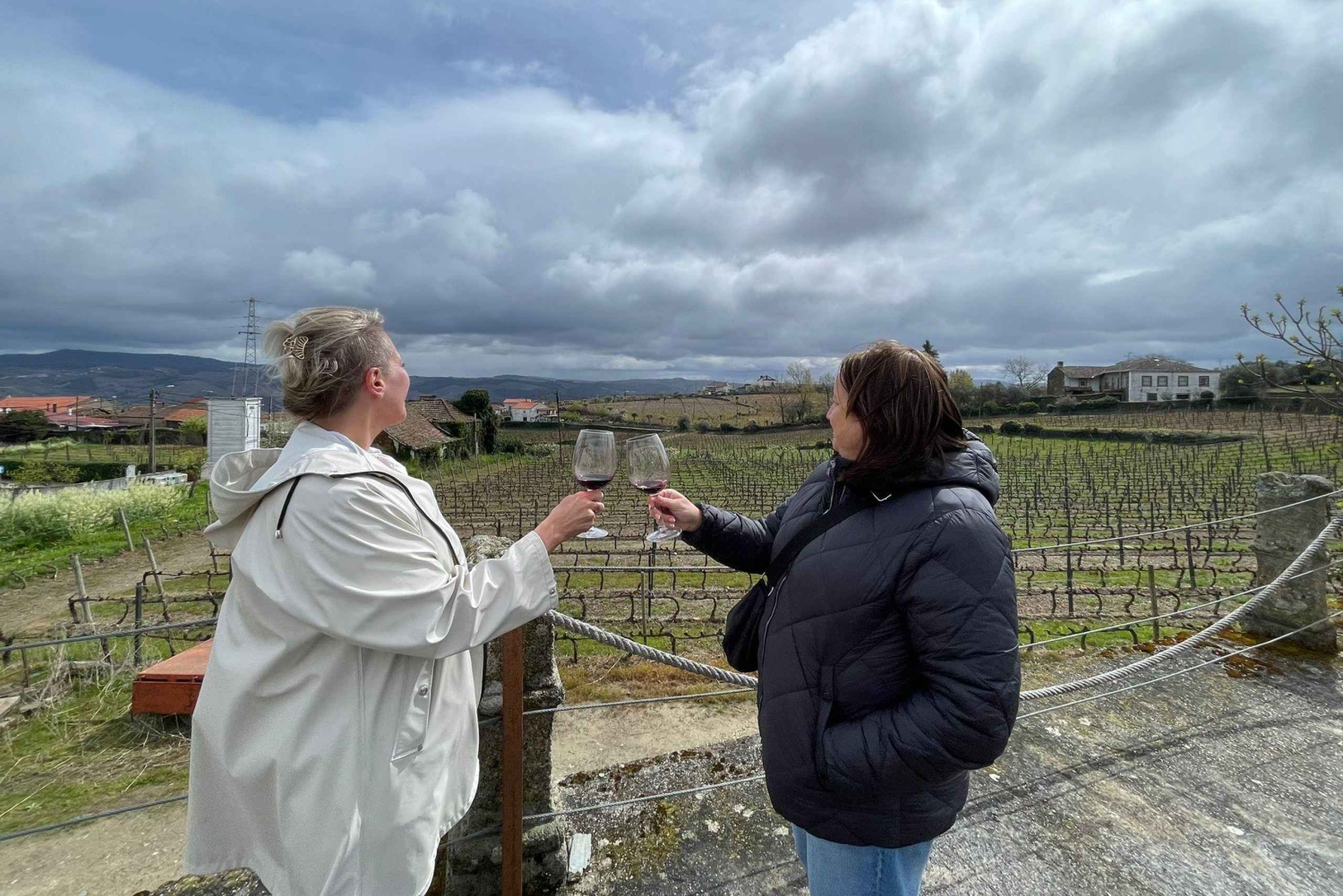 Porto: Green Wine Tasting and visit