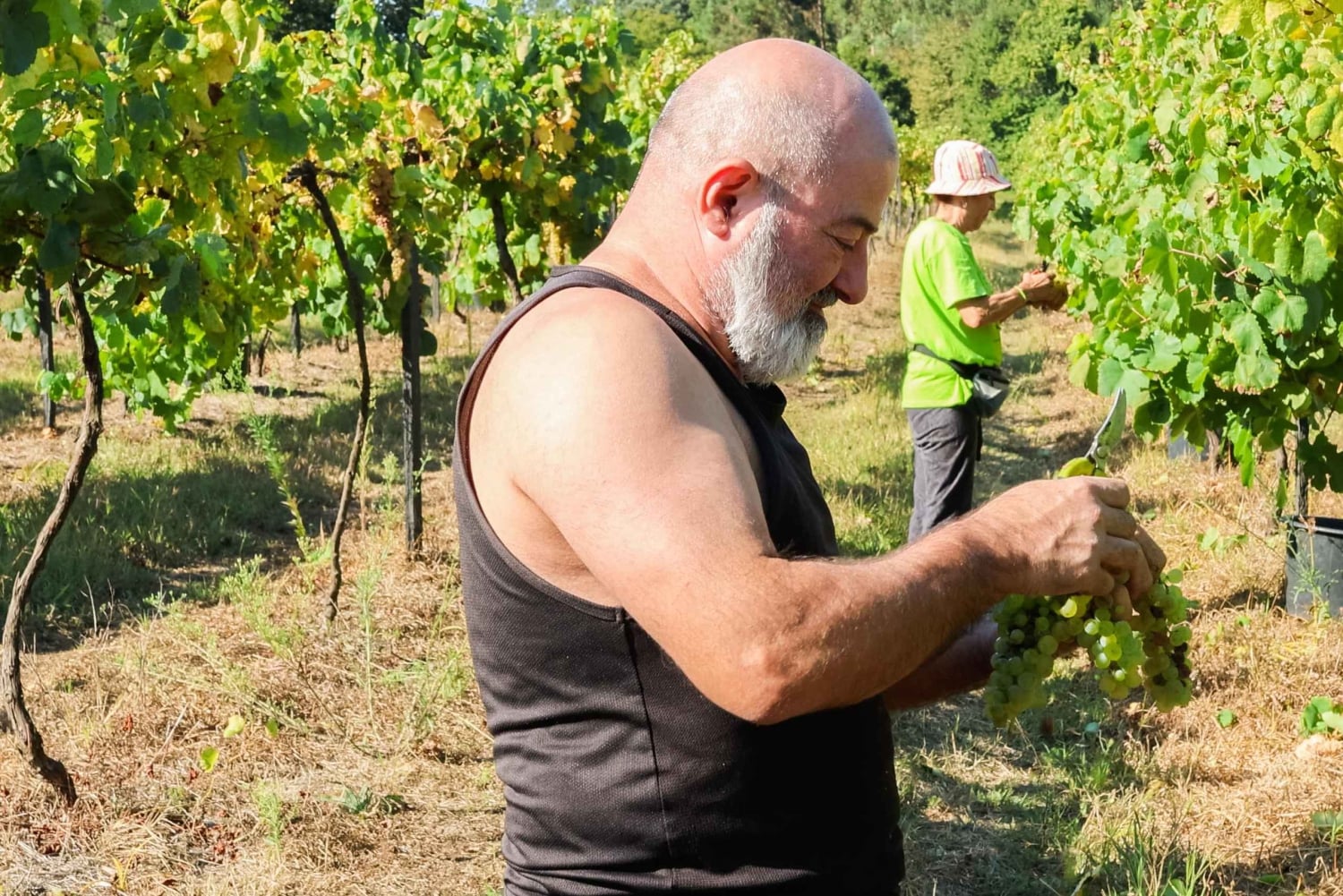 Porto: Green Wine Tasting and visit