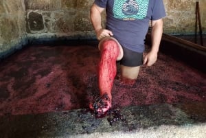 Porto: Green Wine Tasting and visit