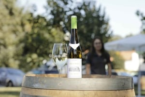 Porto: Green Wine Tasting and visit