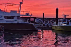 Porto: Passeio de barco com guia e degustação de 4 vinhos do Porto