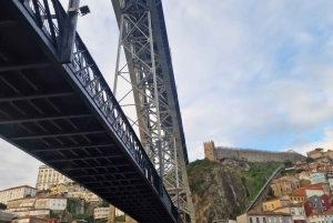 Porto: Passeio de barco com guia e degustação de 4 vinhos do Porto