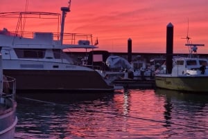 Porto: Passeio de barco com guia e degustação de 4 vinhos do Porto
