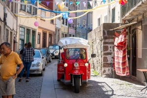 Porto: Guided City Tour by Tuk-Tuk and Douro River Cruise