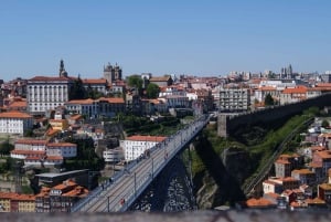 Porto: Guided Walking Tour and Lello Bookshop
