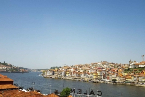Porto: Guided Walking Tour and Lello Bookshop