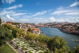 Porto: Halvdagssightseeing i Porto med en lokalinvånare