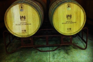 Porto: Halvdagsutflykt i liten grupp med portvinsprovning