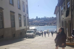 Porto: Halvdagsutflykt i liten grupp med portvinsprovning