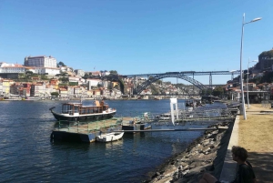 Porto: Halvdagsutflykt i liten grupp med portvinsprovning