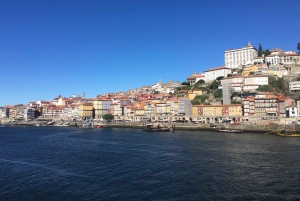 Porto: Halvdagsutflykt i liten grupp med portvinsprovning