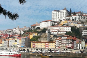 Porto: Halvdagsutflykt i liten grupp med portvinsprovning