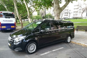 Porto: Halvdagsutflykt i liten grupp med portvinsprovning