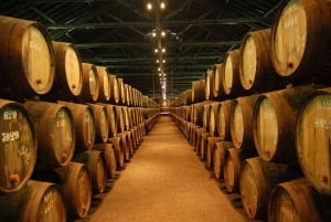 Porto: Halvdags byrundtur i liten gruppe med portvinsmaking