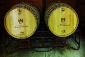 Porto: Halvdags byrundtur i liten gruppe med portvinsmaking