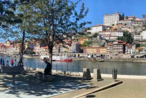 Porto: Halvdags byrundtur i liten gruppe med portvinsmaking