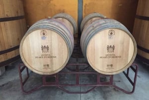 Porto: Halvdags byrundtur i liten gruppe med portvinsmaking