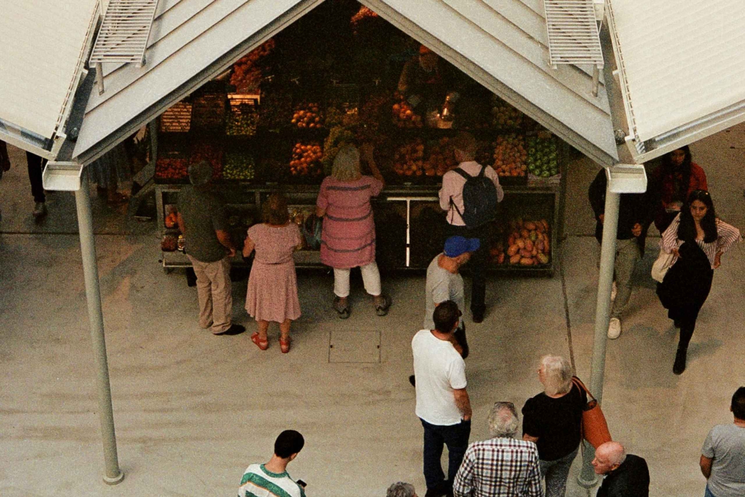 Porto : excursion d'une demi-journée en petit groupe