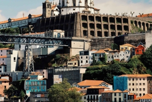 Porto : excursion d'une demi-journée en petit groupe
