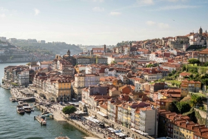 Porto : excursion d'une demi-journée en petit groupe