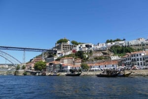 Halvedaagse tour en wijnproeverij in Porto
