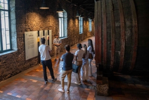 Porton puolipäiväinen kierros ja viininmaistelu