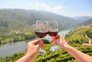 Porto halvdagsutflykt & portvinsprovning