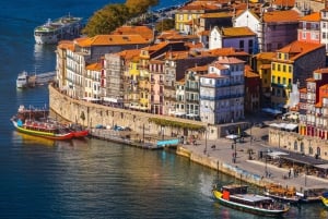 Porto halvdagsutflykt & portvinsprovning