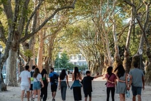 Porto: Harry Potter i miasto Porto - wycieczka z przewodnikiem