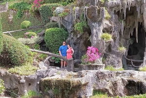 Portosta: Bragan ja Guimarãesin päiväretki lounaalla