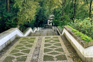 Portosta: Bragan ja Guimarãesin päiväretki lounaalla