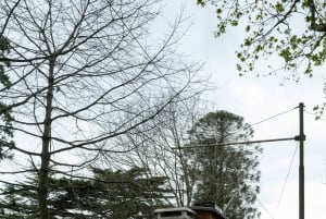 ポルトのハイライトとトラム - プライベートツアー